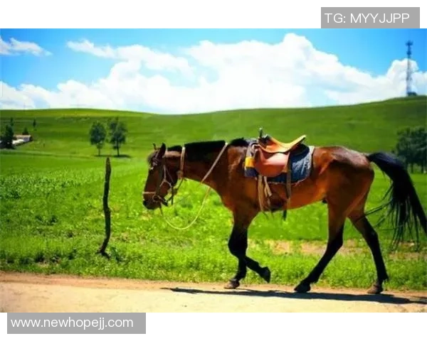 马内的传奇之路：从非洲草原到欧洲绿茵场的辉煌历程与成就